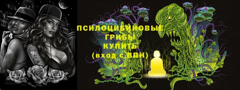 Галлюциногенные грибы MAGIC MUSHROOMS  omg зеркало  Димитровград 