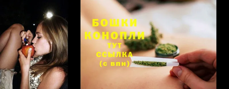 Бошки марихуана THC 21%  дарнет шоп  Димитровград 